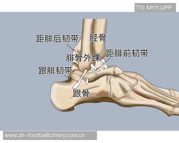 足球明星踝关节置换手术背后的故事与康复之路探秘